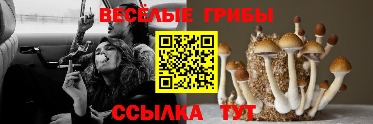 Галлюциногенные грибы Psilocybe  Псилоцибиновые грибы Psilocybe  Вход с VPN  Волгодонск 